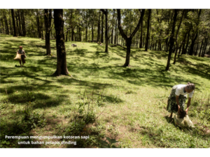 Indigenous Women and Customary Rights in Agrarian Conflicts: A Study of Ecofeminism