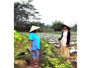 The Meaning Making of an Environmental Movement: A Perspective on Sedulur Sikep's Narrative in Anti-Cement Movement