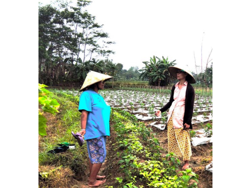 The Meaning Making of an Environmental Movement: A Perspective on Sedulur Sikep's Narrative in Anti-Cement Movement