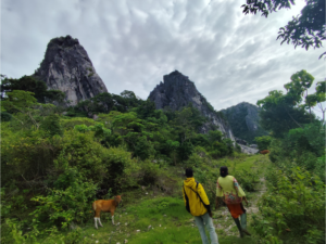 Protecting Nature: Religious Ecofeminism in Indigenous Women’s Movement