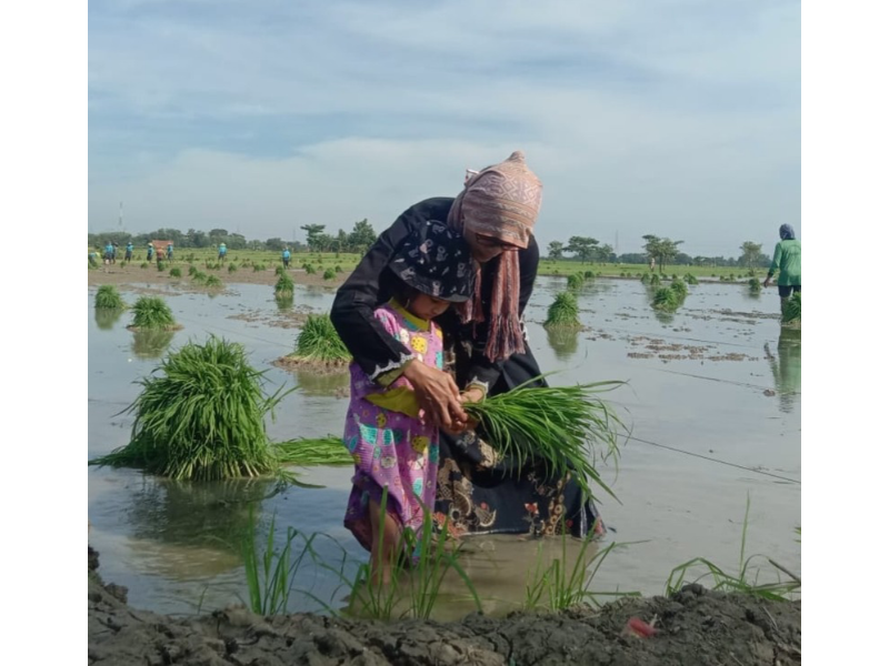 Tindakan Sosial dan Perilaku Kolektif Masyarakat Samin (Sedulur Sikep) terhadap Pemeliharaan Lingkungan